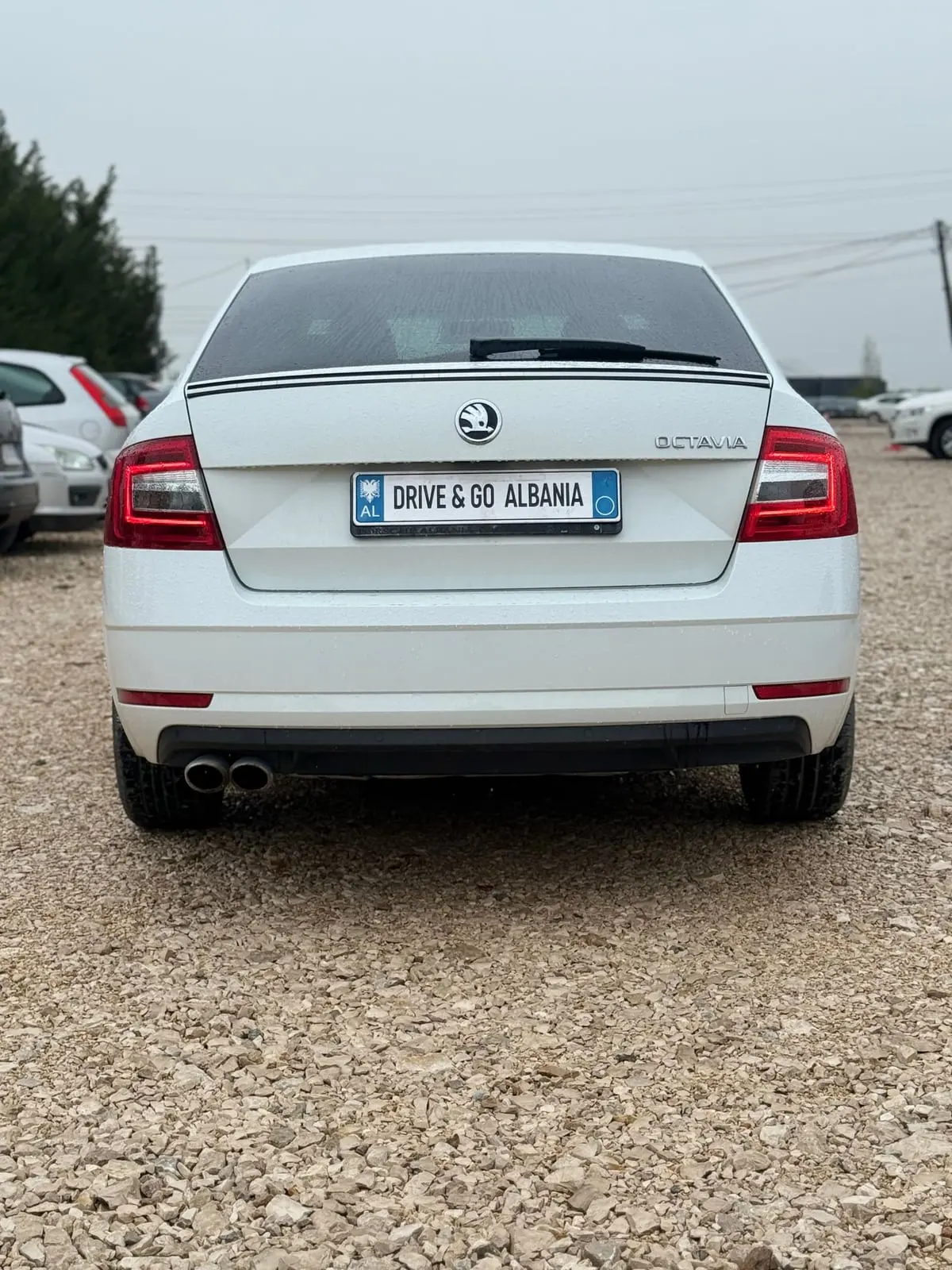 Skoda Octavia 2019 – rear view